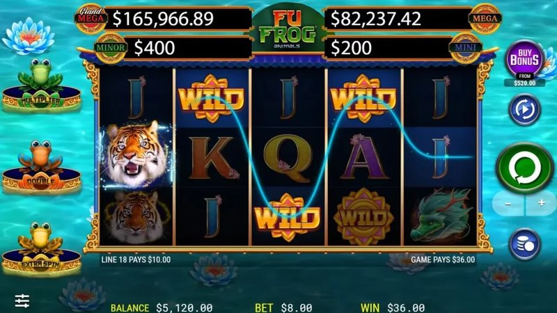 Overview of fu frog demo